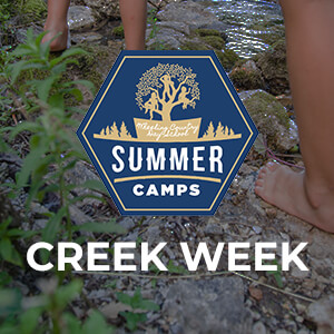 WCDS summer camps creek week